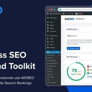 All In One SEO Pack PRO