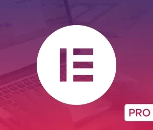 Elementor Pro – WordPress Page Builder + Tradução