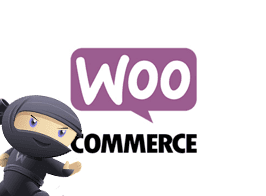 Woocommerce Bookings