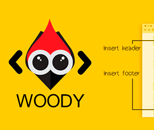 Woody Code Snippets Premium