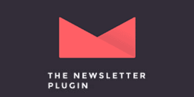 the-newsletter-wp